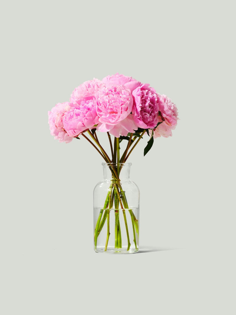Pastel Peony Arrangement
