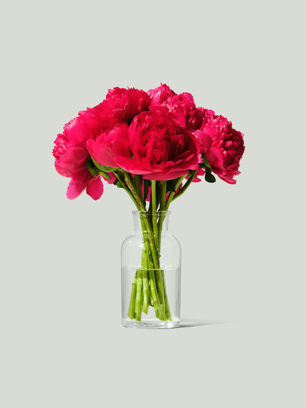 Bold Peony Arrangement